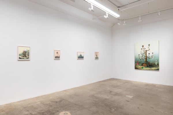 Deirup Ex Voto In Silico Install View 8