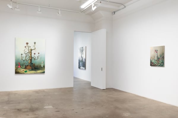 Deirup Ex Voto In Silico Install View 9