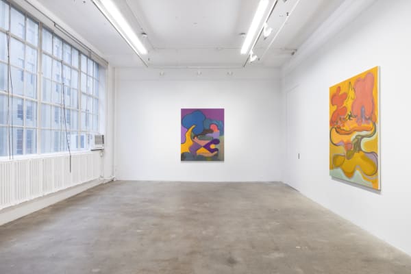 Hazan Under The Sun Install View 1