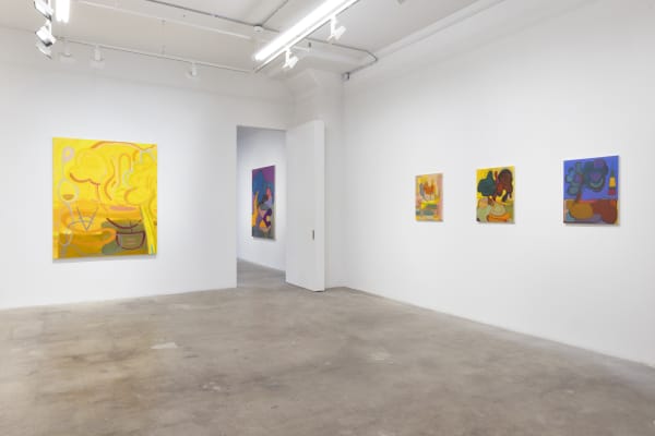 Hazan Under The Sun Install View 7