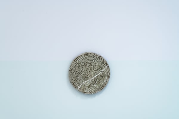 Renate Im Moving To The Reef Installation View 7C