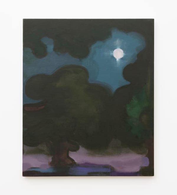 Elizabeth Hazan Field #164, 2024 Oil on canvas 24 x 20 inches 60 x 50 cm