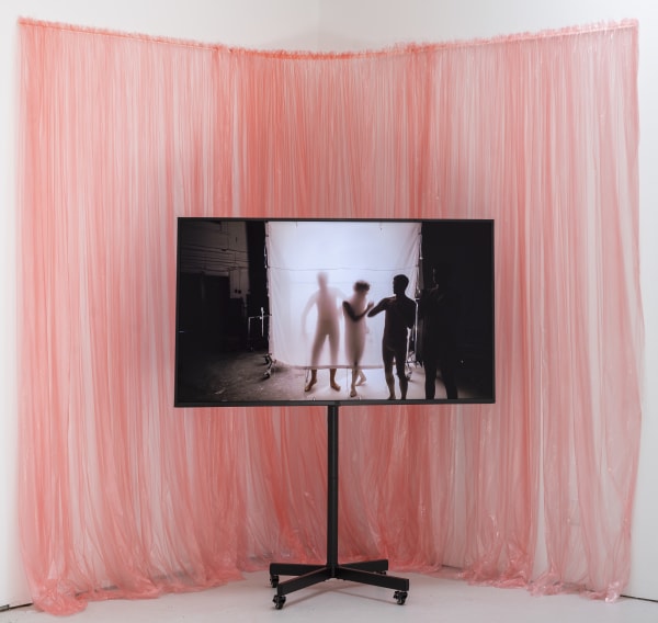 Richard Malone Canopy (from a record of tenderness), 2024 Digital video, Duration: 9 minutes, 1 second Edition 1 of 3, 1AP