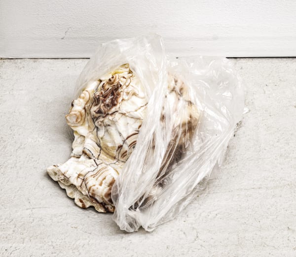 Catherine Telford Keogh Expired Foxy® Iceberg Lettuce (2Q572517ZWL065FieldC3355), 2025 Hand-carved pink onyx, found produce bag 8¾ x 10¼ x 13¼ inches 22.2 x 26 x 33.7 cm