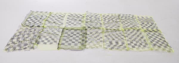 Emma Safir Untitled, 2025 Tulle, silk screen, polyester thread 1 x 106 x 46 inches 2 x 269 x 116 cm