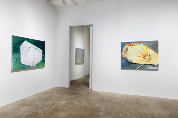 042 Hesseflatow Oct2020 3938