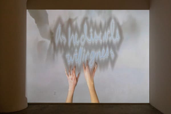 Hesseflatow Feb2021 093