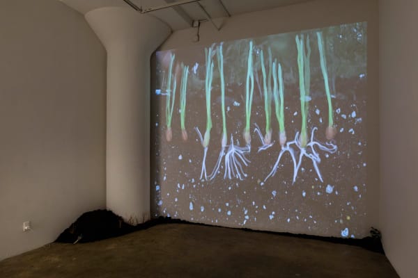 046 Hesseflatow Oct2021 9709