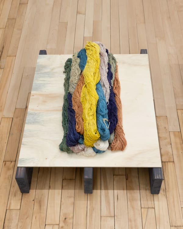 Carolina Jiménez Holding you Close, 2025 Silk dyed with Logwood, Fustic, Indigo, Madder, Cochineal and Weld natural dyes Dimensions variable