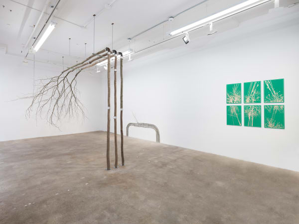 Kristyna and Marek Milde Conductive Fields