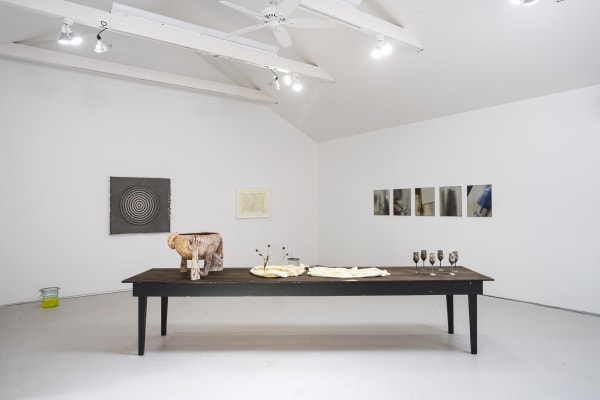 Veronica, Veronica Curated by Andrew Gardner and Emma Safir