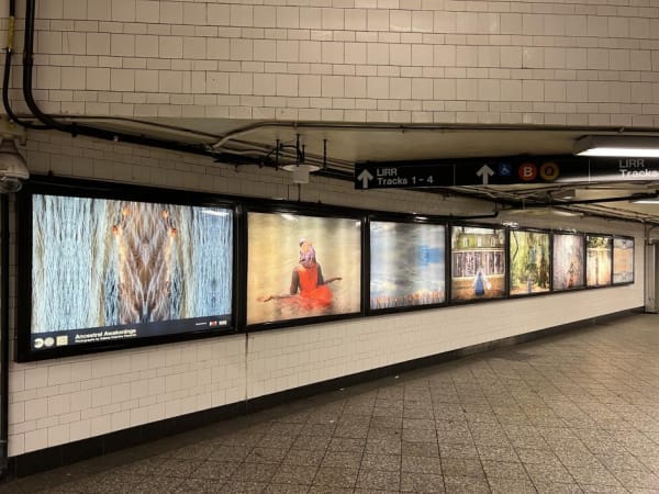 Adama Delphine Fawundu's Solo Installation "Ancestral Awakenings"