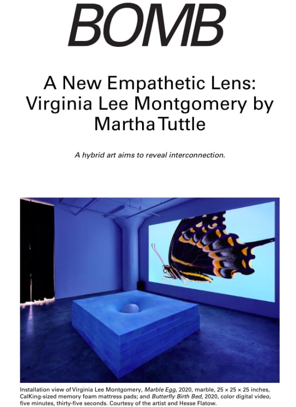 A New Empathetic Lens: Virginia Lee Montgomery by Martha Tuttle