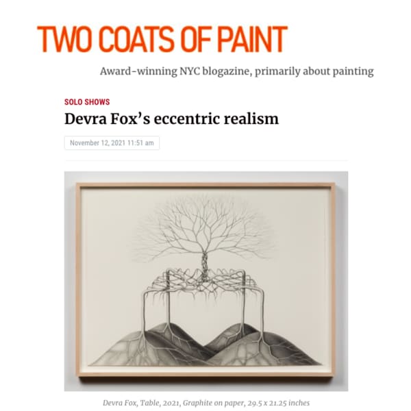 Devra Fox’s eccentric realism