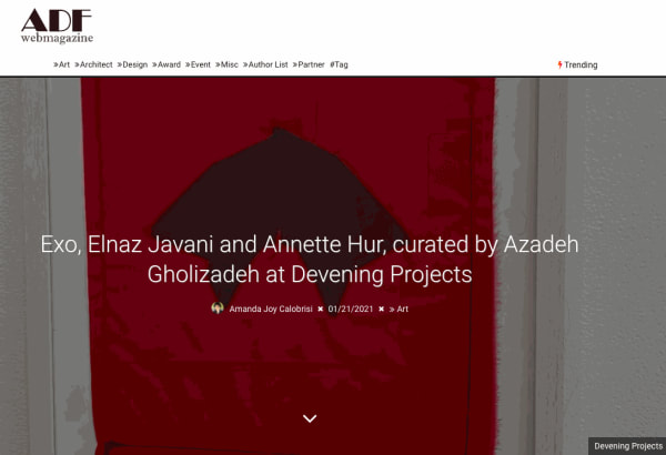 Exo, Elnaz Javani and Annette Hur, curated by Azadeh Gholizadeh at Devening Projects