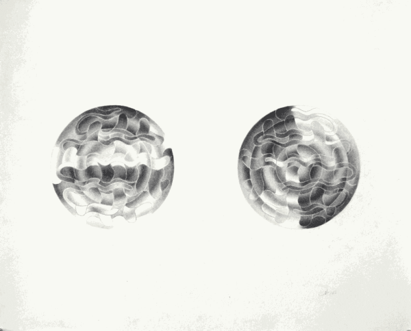 Charlotte Hallberg. Graphite Drawing, 2017. 14 x 17 inches.