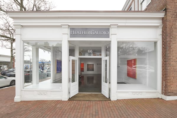 2021 01 31 Heathergaudio 001