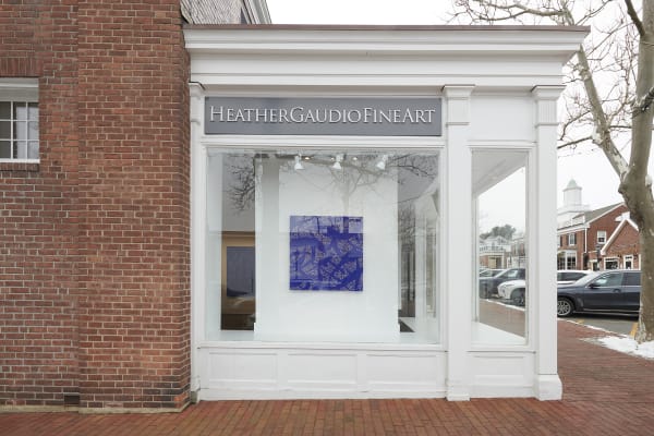 2021 01 31 Heathergaudio 002