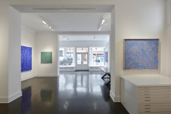 2021 01 31 Heathergaudio 008