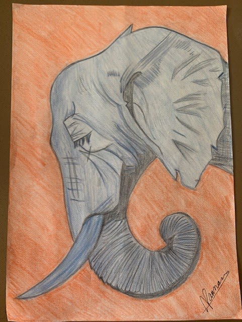 Aidan Parmar, aged 14. Inspired by Andy Warhol.