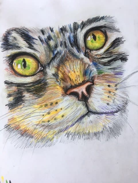 Anna Marie Popov, age 14 Inspired by: Elaine Shaw, her drawing and painting from real life.