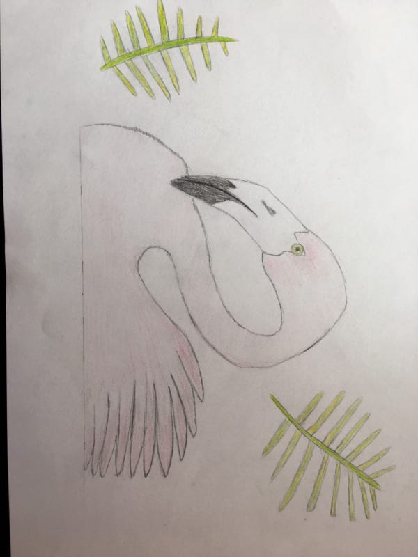 Holly Sutton age 12 Inspired by Matisse