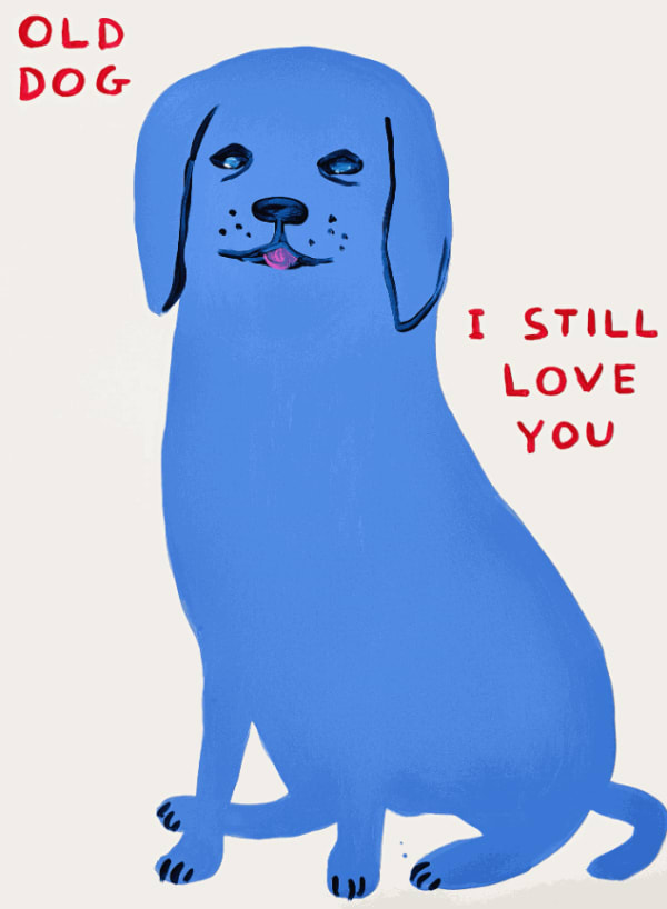 David Shrigley, Old Dog, 2021