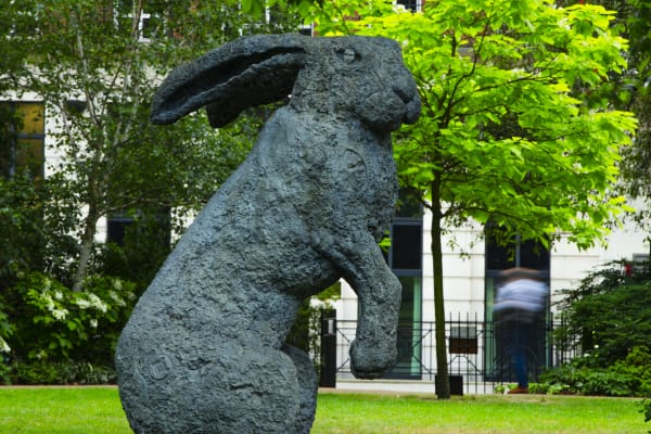 V6A3023 Copy Original