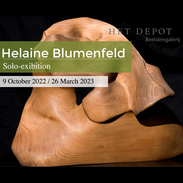 HELAINE BLUMENFELD AT HET DEPOT