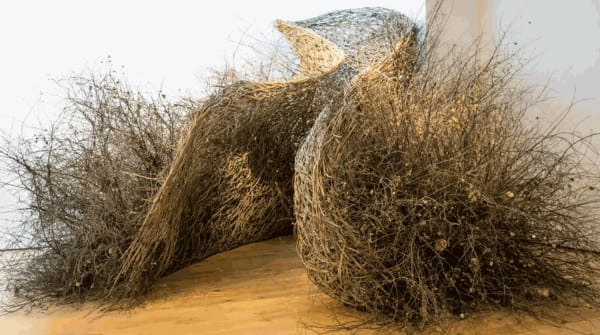 IN THE THICK OF IT - A WOVEN SPACE BY Laura Ellen Bacon
