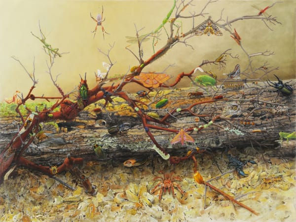 Painting of log in dried leaves covered in different bug species