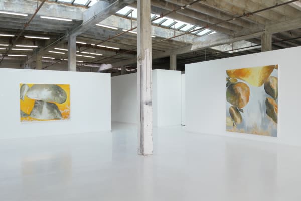 2 Judith Belzer paintings hanging in the gallery