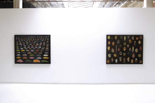 One painting of nudibranchs in different sizes next to another painting of phasmid egg cases on a white wall
