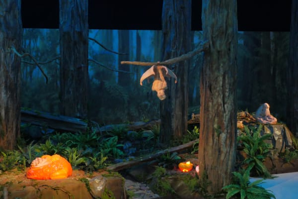 Installation view of a redwood forest diorama filled with 3 chimeric creatures.