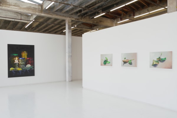 4 Cornelius Völker paintings hanging in the gallery
