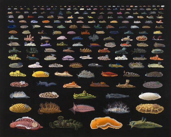 Isabella Kirkland, "Nudibranchia," 2015, oil and alkyd on polyester over wood panel, 48 x 60 inches