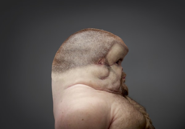Patricia Piccinini, "Graham," 2016, detail view