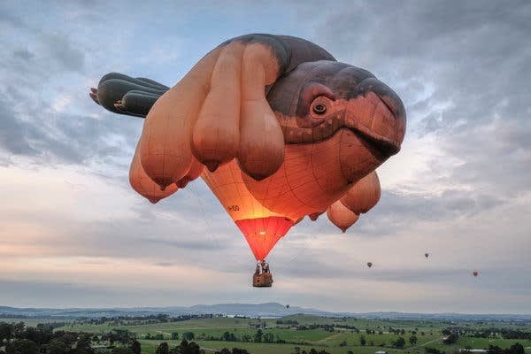 Patricia Piccinini, "Skywhale," 2013. Image courtesy of Andrew Chapman