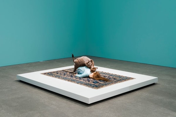 Patricia Piccinini, Balasana (2009), installation view. Courtesy QAGOMA