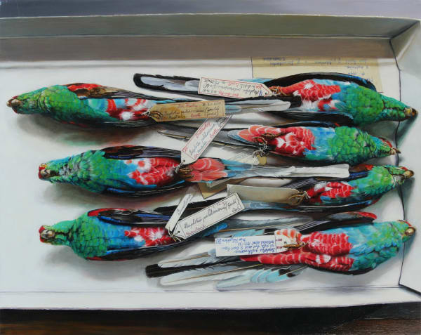 Isabella Kirkland, "Paradise Parrots (extinct)," 2015, oil and alkyd on wood panel, 15 3/4 x 19 3/4 inches