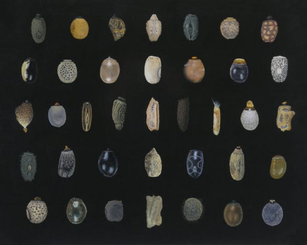 Isabella Kirkland, "Phasmid Eggs II," 2022, oil on polyester over wood panel, 48 x 60 inches, 121.9 x 152.4 cm