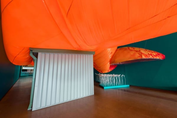 Patricia Piccinini, "Pneutopia" (2018), installation view
