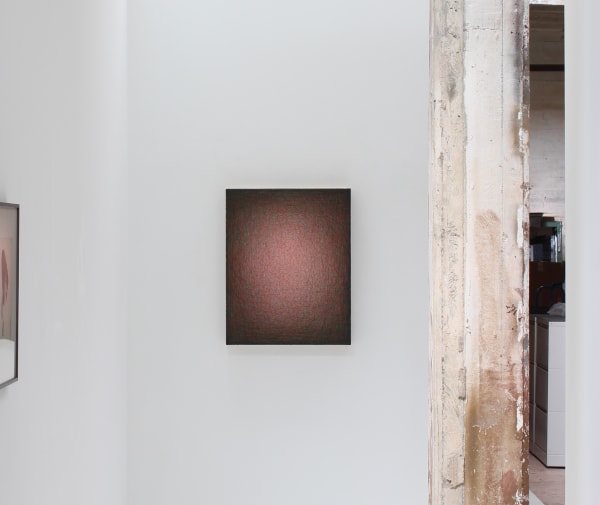 Emil Lukas, "insistent red curve #1463," 2015, installation view