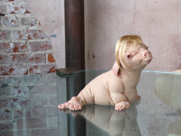 Patricia Piccinini, "The Naturalist," 2017, installation view