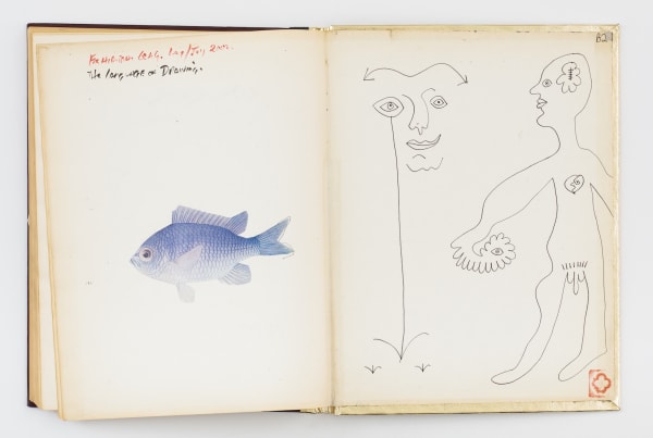 Inside pages of book, watercolor of blue fish on left page, simple pen drawing of naked man on right page
