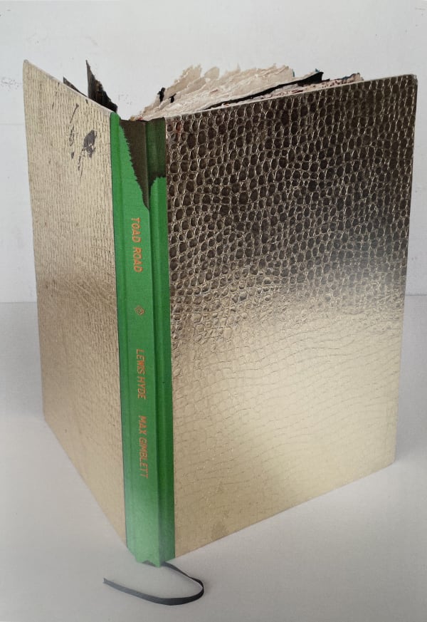 book with golden crocodile skin