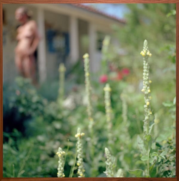 JARDIN, 2008 From the series Evidence Chromogenic print 20 x 20 inches, from an edition of 10 30 x 30 inches, from an edition of 8 50 x 50 inches, from an edition of 3