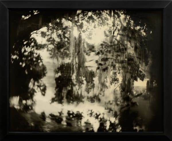 Sally Mann photograph of moss in Deep South landscape with reflection in water