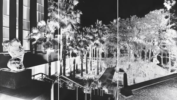 This Artist Has Memorialized the Los Angeles County Museum of Art Before It Gets Partly Demolished