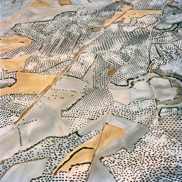 The Fall (Borox 9), 2013 by David Maisel